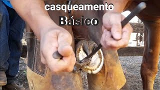 Casqueamento Básico para prevenção Cascosemdia2026 [upl. by Neicul80]