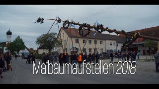 Hörmannsberger Maibaumaufstellen  2018 [upl. by Llecrad]