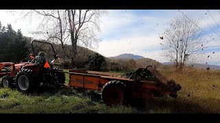 Manure Spreading with New Idea Model 17 Manure Spreader [upl. by Imefulo]