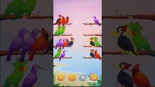 cute birds shortviral vlogs shotcutebirds bhojpurisong ganashortvidtrendingshorts [upl. by Gelhar]