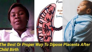 The Best Wa To Dispose Placenta After Child Birth What Do You Think Let Us Know [upl. by Snapp]