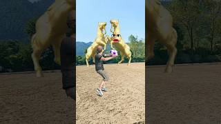 Golden Horse VS Man 🐎🐎 Funny Video shorts funny youtubeshorts [upl. by Daub]