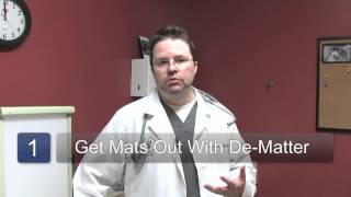 How to Remove Mats From Dog Hair [upl. by Stuppy]