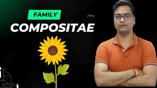 Compositae Family [upl. by Aninay]