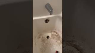 Tub Drain Leaks Bad Easy Plumbing Repair [upl. by Sirret975]