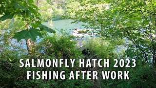 Salmonfly Hatch Fishing After Work Dry Fly Fishing Oregon Spring 2023 [upl. by Llebanna]