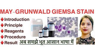 MayGrunwald giemsa stain Mgg in Hindi  Principle  Procedure  Reagents  MLT [upl. by Kcirdde]