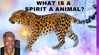 Connect to the Divine Do You Have A Spirit Animal amp Meanings [upl. by Immat]