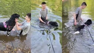 Dog Goes Swimming At The River  Daisys River Adventure [upl. by Ocire]