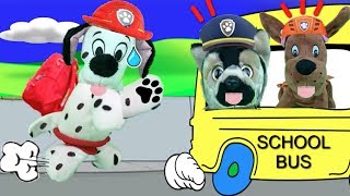 Patrulla canina juguetes español NUEVO BEBE PAW PATROL MARSHALL PIERDE BUS COLE O ESCUELA VERANO [upl. by Hinch284]