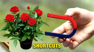 GARDENING SHORTCUTS TO SAVE TIME AND MONEY in 2024  GARDENING HACKS SERIES [upl. by Akirat]