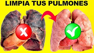 3 plantas que puedes preparar para limpiar y purificar tus pulmones Remedios caseros Lunacreciente [upl. by Latterll]