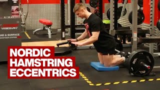 Nordic Hamstring Eccentrics [upl. by Wilfrid675]