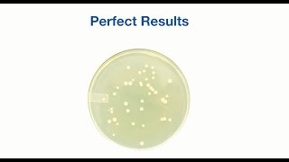 Manual Methods vs Microbiologics Quantitative Controls [upl. by Grizelda235]