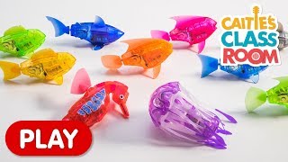 Learn Colors with Amazing Robot Fish  Caities Classroom [upl. by Hayalat575]