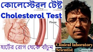 Cholesterol Test Bloodরক্তের কোলেস্টেরল টেষ্ট Normal Cholesterol Level LDL and HDL Cholesterol [upl. by January816]