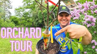 Building a Permaculture Orchard [upl. by Orferd]