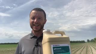 Entrench™ Nitrogen Stabilizer for 28 side dress  Corteva Agriscience Canada [upl. by Tawney]