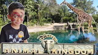 Disney World Animal Kingdom Park [upl. by Aenad125]