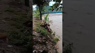 BANJIR MAJALAYA 21 NOVEMBER Mieayampangsit05 subscribe [upl. by Rhyne372]