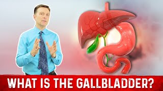 What is Gallbladder – Explained by Dr Berg [upl. by Landry]