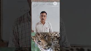 Herbivores Carnivores Omnivores By Shravan Sir education class6 science shorts viralshorts [upl. by Odnomyar]