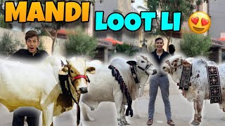 ALHAMDULILLAH😍 Qurbani Ka 4 JANWAR KHAREED Liya  Mandii Bhi Loot Lii😱  BROTHEROLOGY VLOGS [upl. by Eillo]