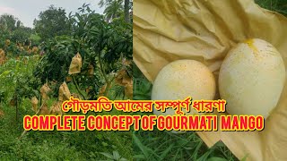 গৌড়মতি আমের সম্পূর্ণ ধারণা Complete concept of Gourmati mango  BAGANBARI [upl. by Mayor186]