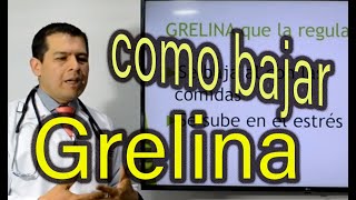 Grelina como controlarla o mantenerla baja Dr JAvier E Moreno [upl. by Otreblif897]