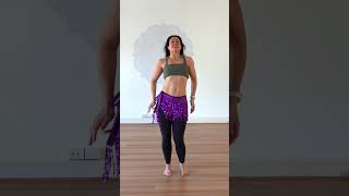 Shakira  Whenever Wherever  Beginners Belly Dance Choreography [upl. by Odracer75]