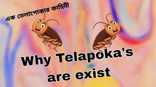 Why telapokas are exist  এগুলা উড়ে কেমনে [upl. by Luisa]