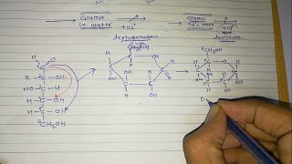 4 Sugar isomers Part3 Optical isomers [upl. by Evad884]