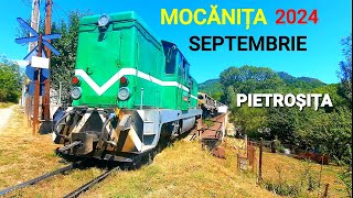 MOCANITA SEPTEMBRIE 2024  PIETROSITA [upl. by Hardman840]