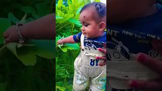 Toba ye sadge song love hindisong bollywood bollywoodsongs trending cutebaby [upl. by Refotsirc]