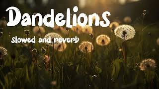 Dandelions song slowed and reverb [upl. by Etirugram107]