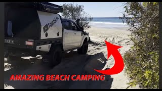 AMAZING K’GARI FRASER ISLAND ADVENTURE CRYSTAL CLEAR WATER AND WHITE BEACHES [upl. by Trevorr495]