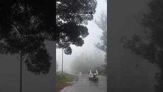 todays Ooty climate [upl. by Anairotciv]