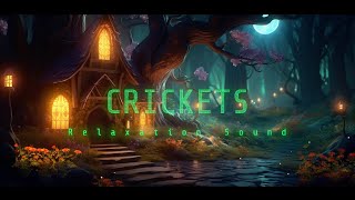 Crickets at night  relaxing nature sounds [upl. by Laved447]