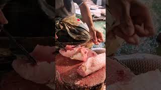 Amazing Cutting Skills  Big HamourGrouper Fish Cutting By Expert Fish Cutter [upl. by Oberon481]