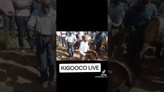 Kanitha wa ngai kigooco kigooco [upl. by Frodeen]