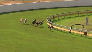 Bundaberg01072024Race5 [upl. by Anoo537]