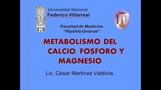 METABOLISMO DEL CALCIO FÓSFORO Y MAGNESIO [upl. by Ainej]