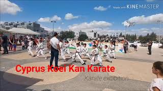 KOEI KAN KARATE DO Demonstration [upl. by Twyla]