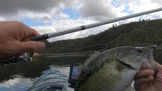 Building a Custom Fishing Rod and Catching a 3lb Spotted Bass with It at Lake Oroville [upl. by Beryle]