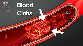 What You NEED to Know About Blood Clots [upl. by Nosak]