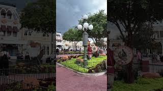 Walt Disney World Magic Kingdom Fall Decor on Mainstreet USA [upl. by Notlrak180]