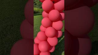 TufTex Coral amp Taffy balloon [upl. by Azriel826]