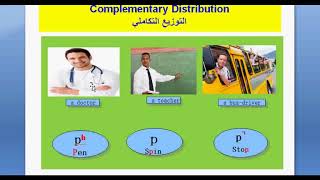 Phonology Lesson 4 comp Dist Free Variation Assimilation Elision [upl. by Robert]