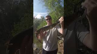 Potential PB pickerel [upl. by Juetta]