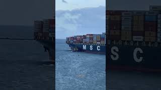 Container Ship ⚓🚢viralvideo oceanship sailingship ocean merchantships shorts shortvideo msc [upl. by Columba]